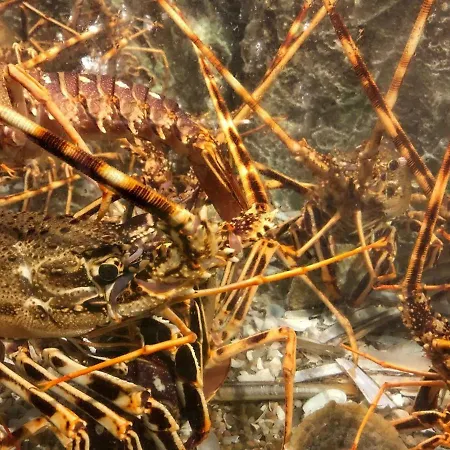 Mar With Parking Sesimbra