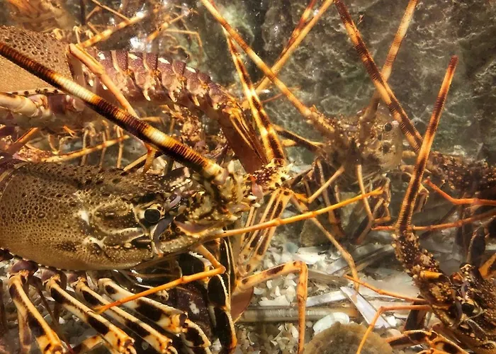 Mar With Parking Σεσίμπρα